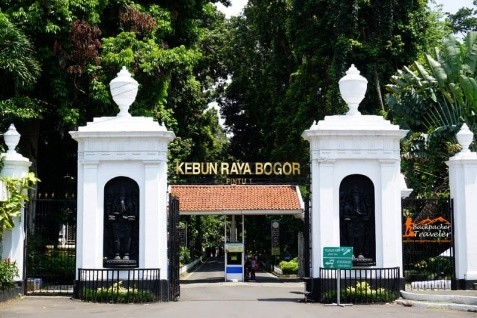 Bogor Botanical Garden 1